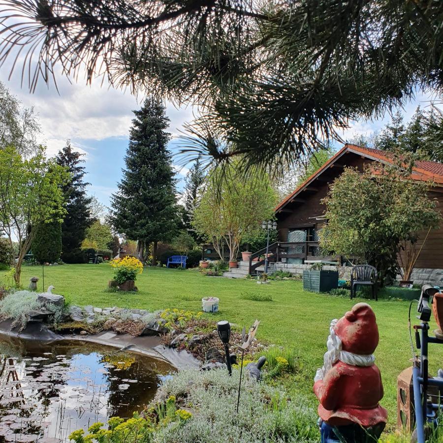 Апартаменти Schau Ins Land Ельбінгероде Екстер'єр фото