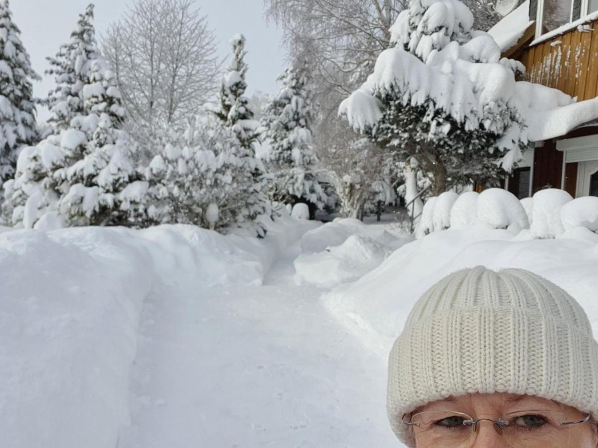 Апартаменти Schau Ins Land Ельбінгероде Екстер'єр фото